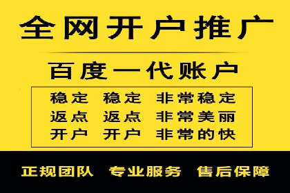 某电商平台的SEM推广实战经验